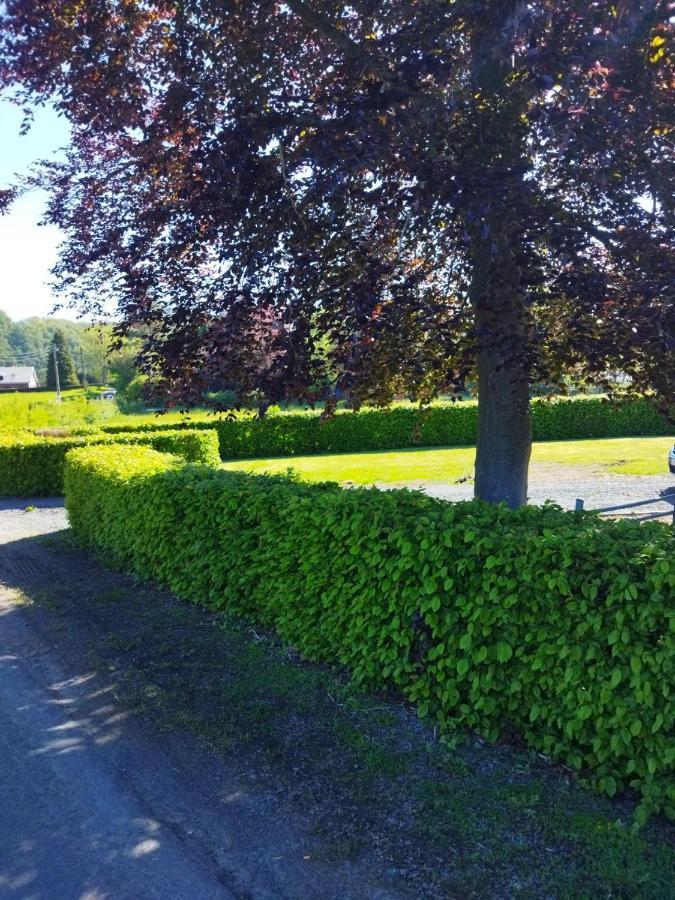 Rendeux Le Clos Des 3 - Vacances Avec Vue En Ardennes A 5 Kilometres De La Roche - Maison De 90 M2 Avec Chambres - Avec Magnifique Jardin מראה חיצוני תמונה
